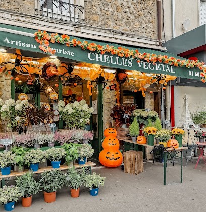 Chelles végétal, Fleuriste à Chelles