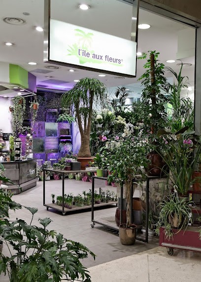 L'Île aux Fleurs, Fleuriste au Kremlin-Bicêtre
