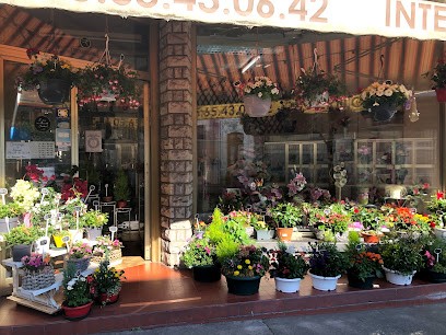 Brassac Stéphanie, Fleuriste à Decazeville