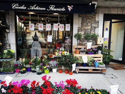 Cécilia Artisan Fleuriste, Fleuriste à Martres-Tolosane