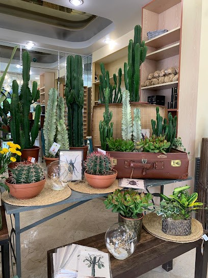 Chatou Fleurs, Fleuriste à Chatou