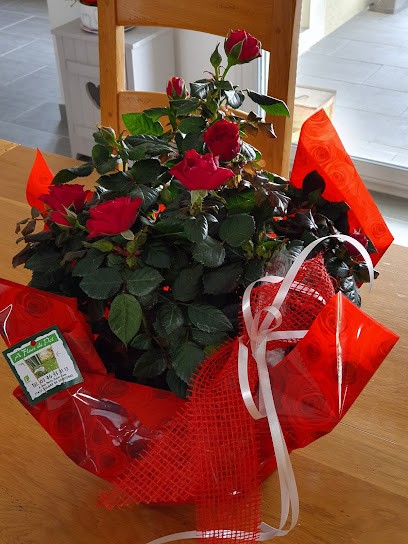A Fleur de Pot, Fleuriste à Aulnay