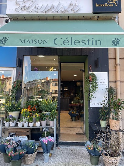 Feuille et Pétales, Fleuriste à Tassin-la-Demi-Lune