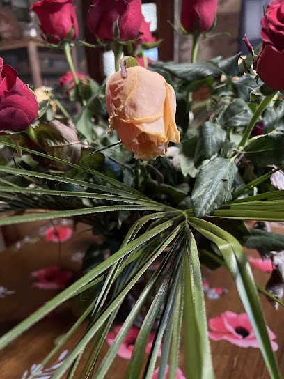 Monceau Fleurs, Fleuriste à Soumoulou