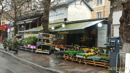 HIDRIO, Fleuriste à Viroflay