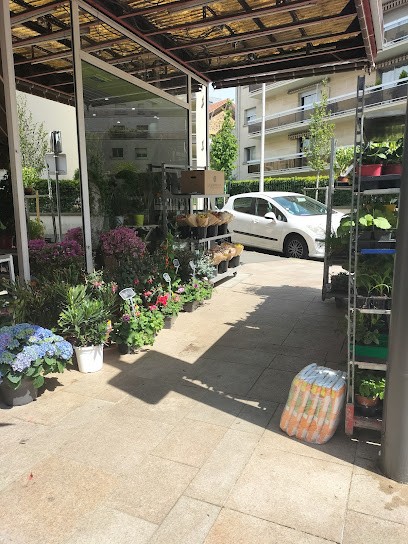 Il Était Une Fleur, Fleuriste au Perreux-sur-Marne