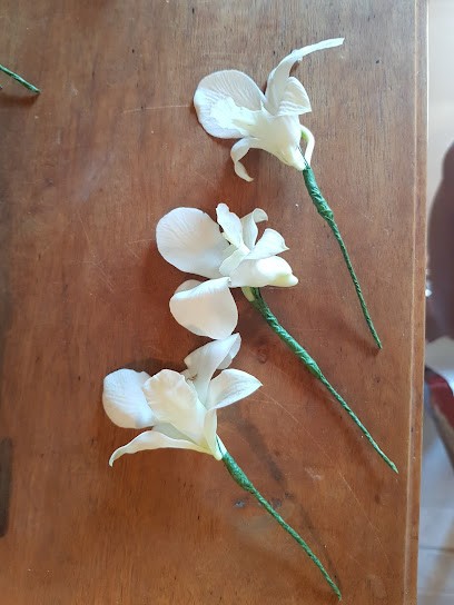 Claudie Fleurs, Fleuriste à Vaison-la-Romaine