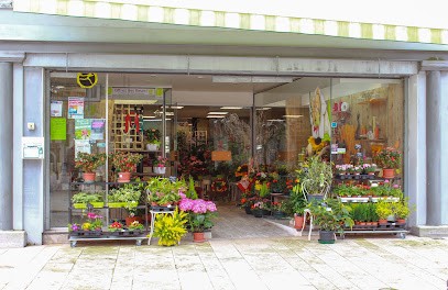 Floralys, Fleuriste à Surgères