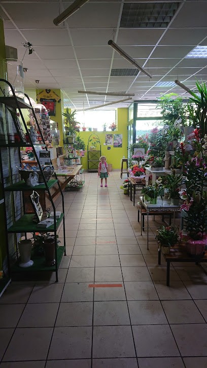 Au Sabot de Vénus, Fleuriste à Lubersac