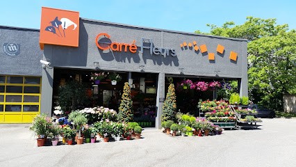 Carré fleurs Tassin, Fleuriste à Tassin-la-Demi-Lune