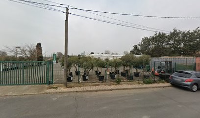 Fachon Patrick, Fleuriste à Villeneuve-lès-Béziers