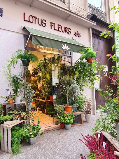 Lotus Fleurs, Fleuriste à Lyon 01