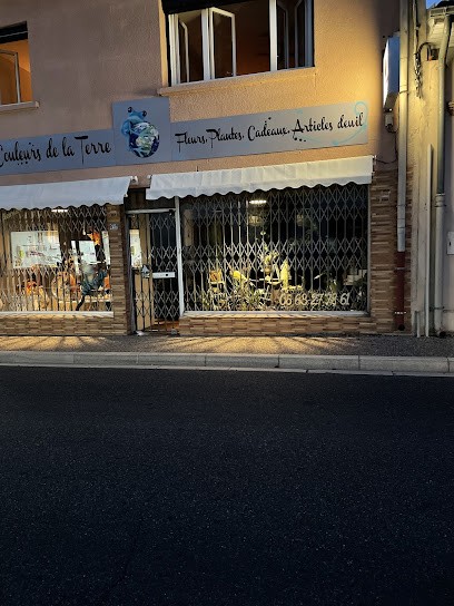 Aux Couleurs de la Terre, Fleuriste à Labastide-Saint-Pierre