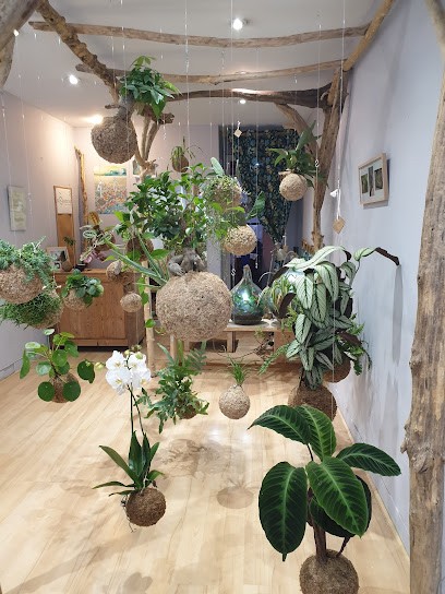 KOKEDARIUM, Fleuriste à Bagnères-de-Bigorre