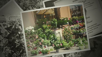café fleurs, Fleuriste à Labergement-Sainte-Marie