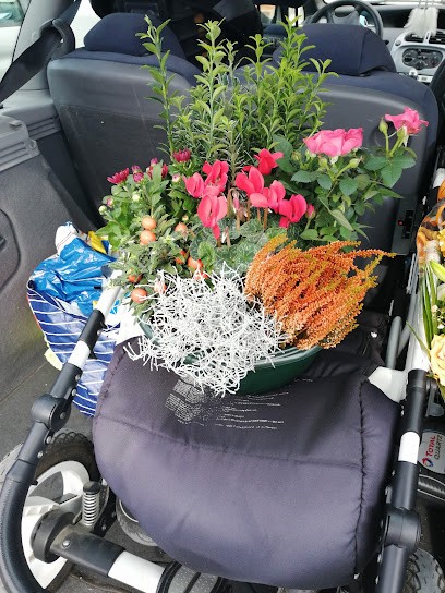 Beauty Fleurs, Fleuriste à Fourmies