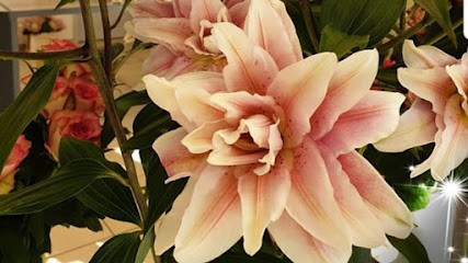 FLORA AND SENSE, Fleuriste à Saint-Jean-de-Muzols