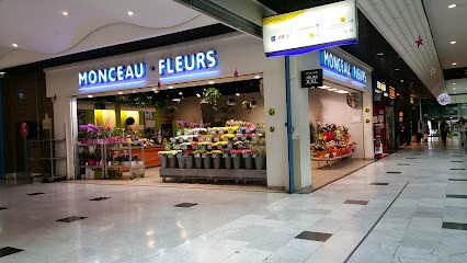 Monceau Fleurs, Fleuriste à Créteil