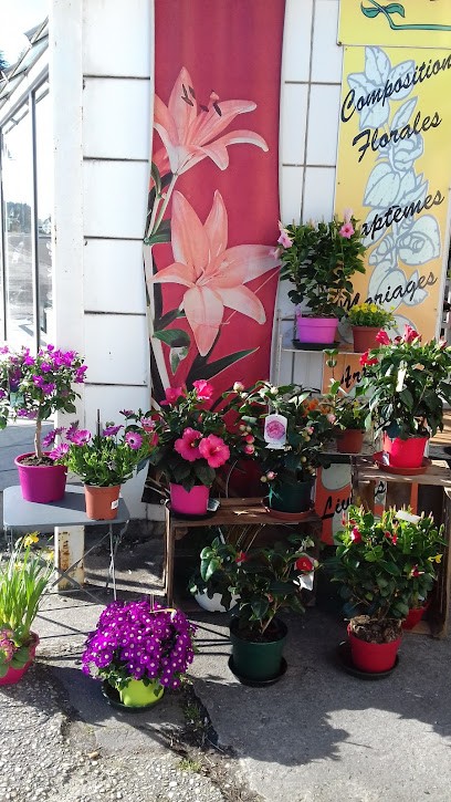 AU PARFUM DU MEDOC, Fleuriste à Saint-Laurent-Médoc