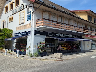 Monceau Fleurs Sevrier, Fleuriste à Sevrier