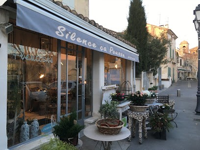 Silence Ca Pousse, Fleuriste à Fontvieille