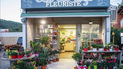 EAU DES LYS, Fleuriste à Solliès-Pont