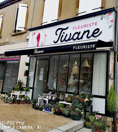 TIVANE FLEURS, Fleuriste à Montchanin