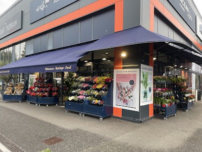 Monceau Fleurs, Fleuriste à Plaisir