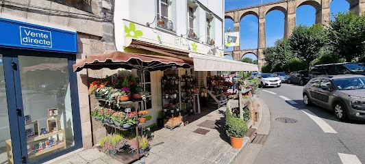 Pic Fleurs, Fleuriste à Morlaix