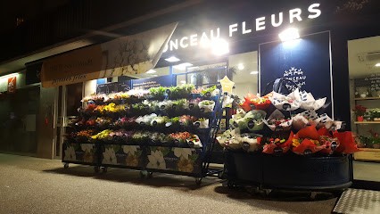 Monceau Fleurs, Fleuriste à Viroflay
