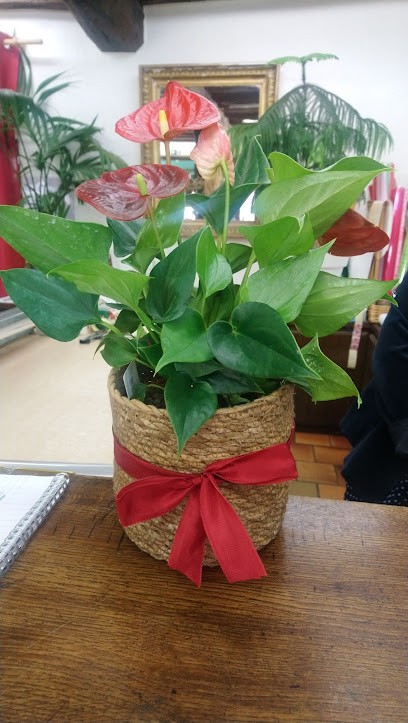 D'Alessandro Séverine, Fleuriste à Lamotte-Beuvron