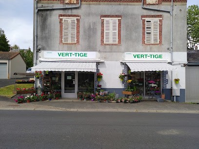Vert-tige, Fleuriste à Magnac-Laval