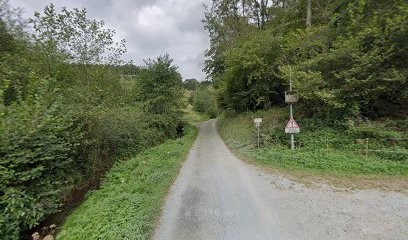 Les fleurs de st pee, Fleuriste à Saint-Pé-de-Bigorre