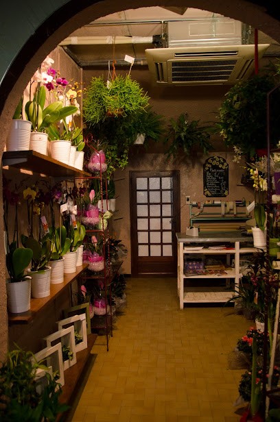 Le Petit Nice, Fleuriste à Pont-Saint-Esprit