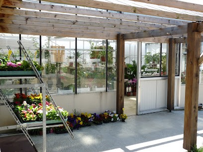Annie Aubry Fleurs et Légumes - Magasin, Fleuriste à Mazé-Milon