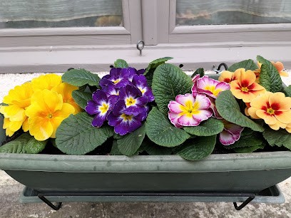 Maison Meillant, Fleuriste à La Châtre