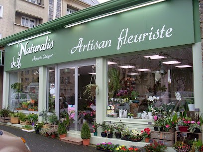 Naturalis, Fleuriste à Saint-Lô