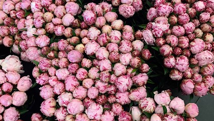 La Bouqueterie, Fleuriste à Sanary-sur-Mer