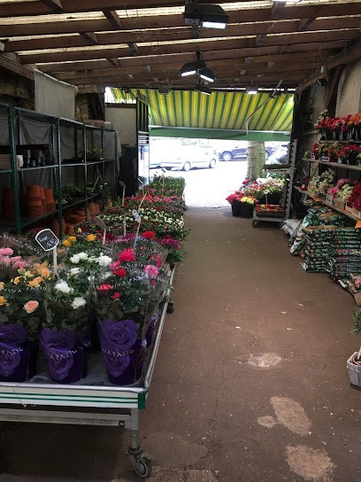 Flowers And Gardens, Fleuriste à Viroflay