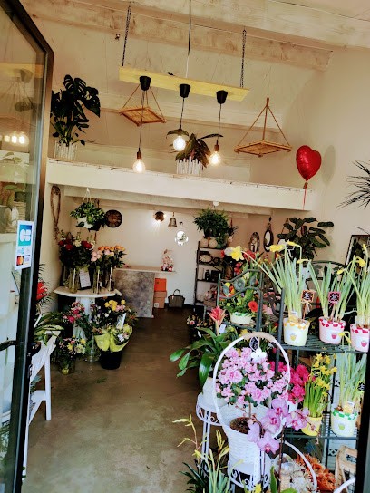 Le Jardin de Colette, Fleuriste à Maillane