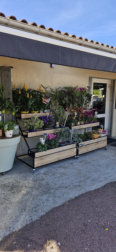 Isabel'Fleurs, Fleuriste à La Lande-de-Fronsac