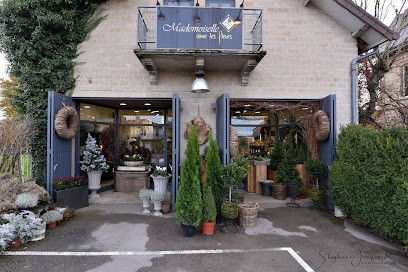 Mademoiselle Aime Les Fleurs, Fleuriste à Mervans
