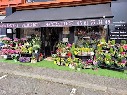 Anylys, Artisan Fleuriste, Fleuriste à Pins-Justaret