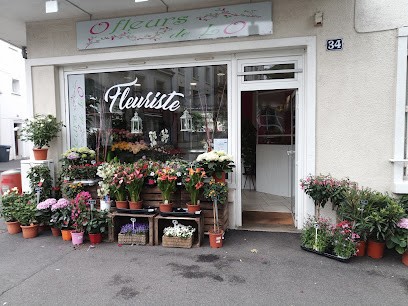 Fleuriste Tours - O FLEURS DE LO, Fleuriste à La Riche