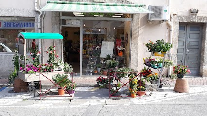 Le Paradis Vert, Fleuriste à Saint-André-de-Sangonis
