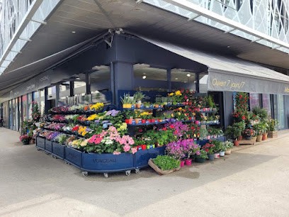 Monceau Fleurs, Fleuriste à Tassin-la-Demi-Lune