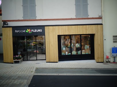 Ripoche Fleurs, Fleuriste à Beaupréau-en-Mauges