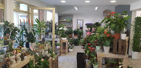 Label Fleur, Fleuriste au Beausset