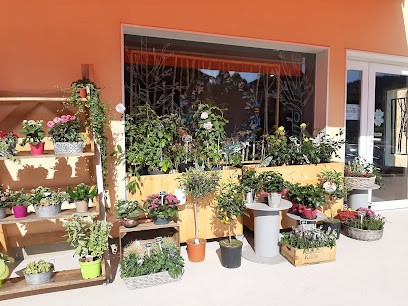 Pâquerette - Artisan Fleuriste, Fleuriste à Villers-le-Lac