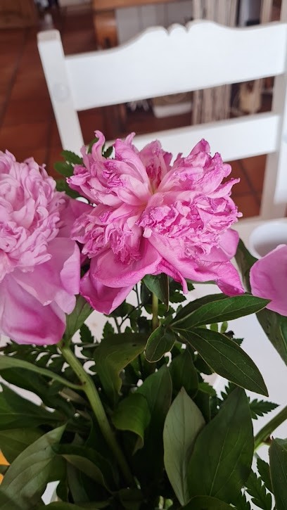 AMOUR DES FLEURS, Fleuriste à Pollestres